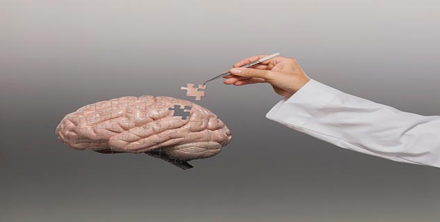 Brain in Hindi