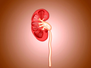 how to prevent infection in your scalp