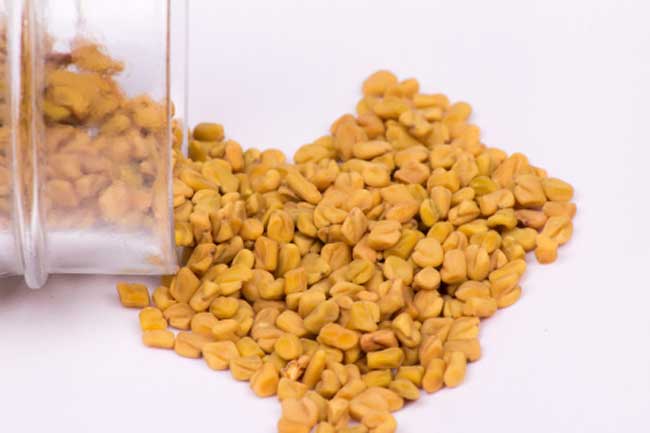 Fenugreek Seeds