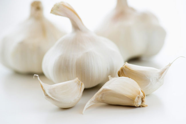 Garlic 