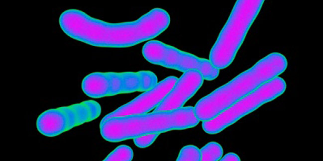 Challenges that Imperil India’s Effort to Being TB-free