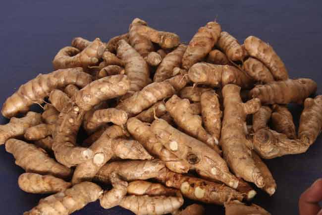 effective-health-benefits-of-arrowroot-in-hindi