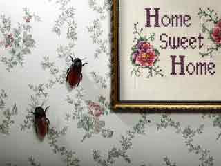 खीरे की मदद से करें अपने घर को कॉकरोच से मुक्‍त 