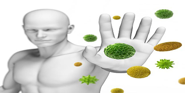 Allergies in Hindi