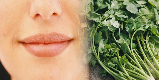 green coriander for lips in hindi 