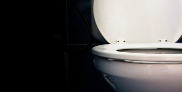 toilet seat in hindi 
