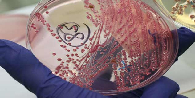 माइक्रो बीड्स Micro Beads in Hindi
