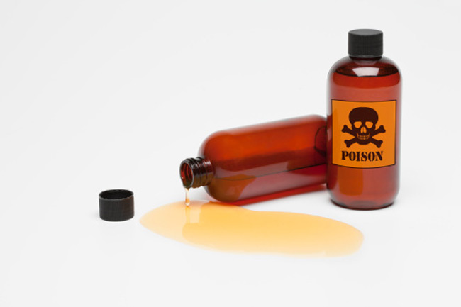 curare poison antidote