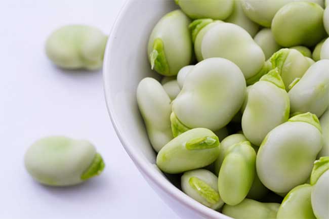 Top Health Benefits Of Fava Beans in Hindi