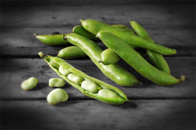 Top Health Benefits Of Fava Beans in Hindi