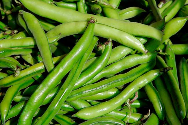 Top Health Benefits Of Fava Beans in Hindi | स्वस्थ आहार