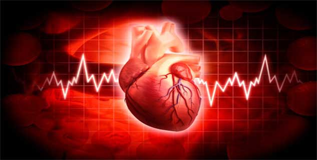 heart rate in hindi 