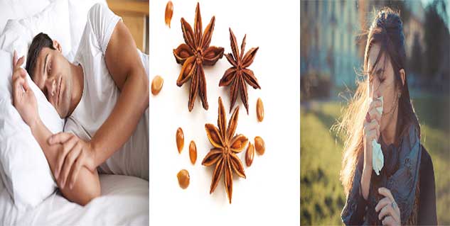 star anise in hindi 