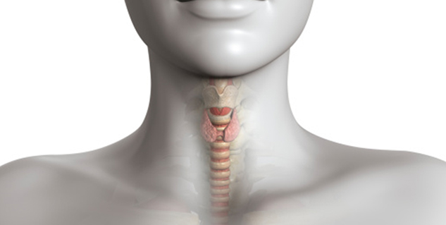thyroid in hindi 
