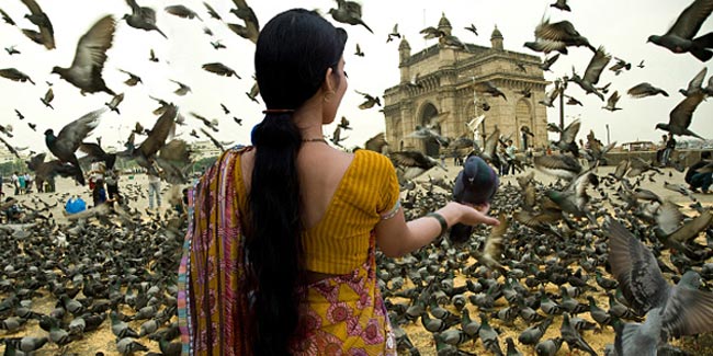 बीमारियों को दावत देना है कबूतरों को दाना खिलाना 