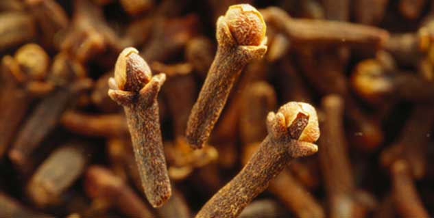 लौंग के फायदे clove in hindi