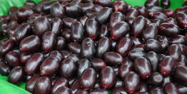 जामुन blackberries in hindi