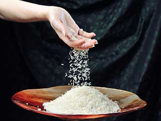 चावल में होते हैं ये 5 नुकसानदायक तत्व, जानिए कौन से