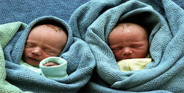 twins in hindi 