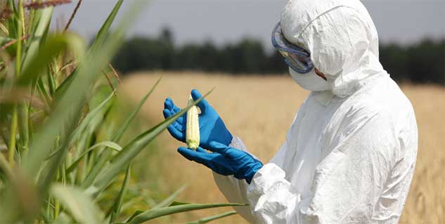 Fake Pesticides in Hindi 