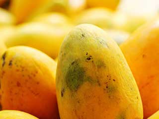 जाने कैसे झड़ते बालों के लिए इस्तेमाल करें मैंगो हेयर पैक