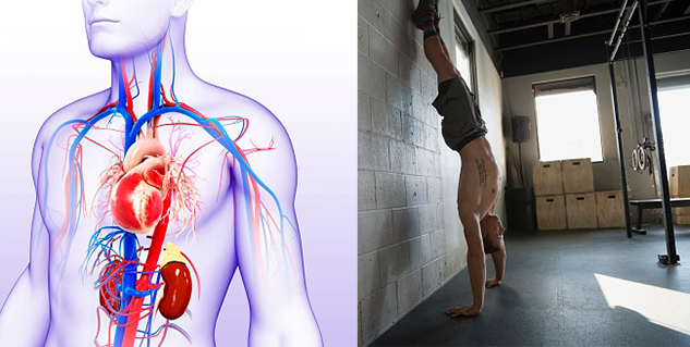 yoga for blood circulation in hindi 