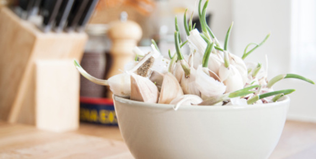 sprouted garlic in hindi 