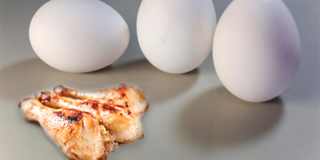 अंडा बनाम चिकन: कौन है प्रोटीन का बेहतर स्रोत