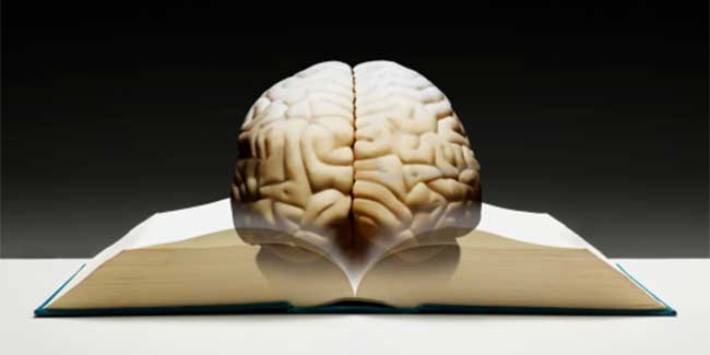 Abnormal neurological dimensions found in anti social brains