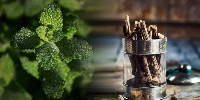 Natural ways to heal respiratory infections and soothe lungs