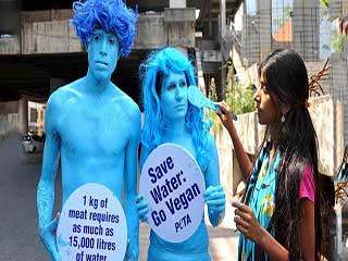 जानें क्यों मनाते हैं जल दिवस और क्या है इसका महत्व