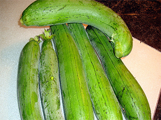 Share more than 155 ridge gourd benefits for hair