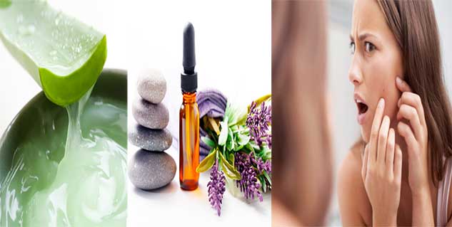 aleo vera gel for pimples in hindi 