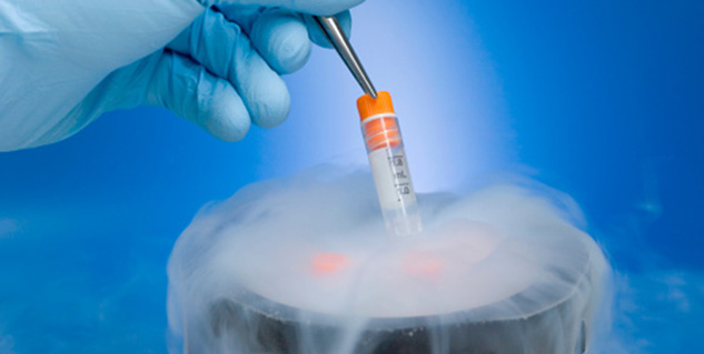 cryopreservation in hindi 