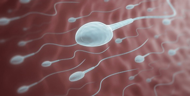 sperm in hindi
