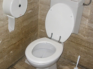 पश्चिमी देश हुए भारत से प्रेरित : कर रहे हैं टॉयलेट पेपर की जगह पानी का इस्‍तेमाल