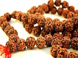 रुद्राक्ष पहनने के हैं कई स्‍वास्‍थ्‍य लाभ, जानते ही धारण करेंगे आप!