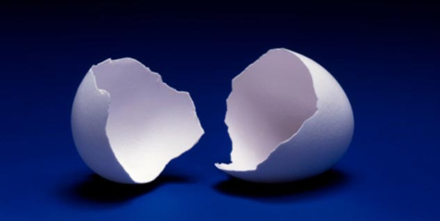 egg shell in hindi 