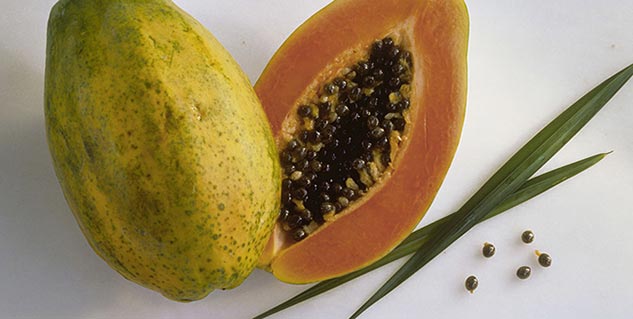 papaya