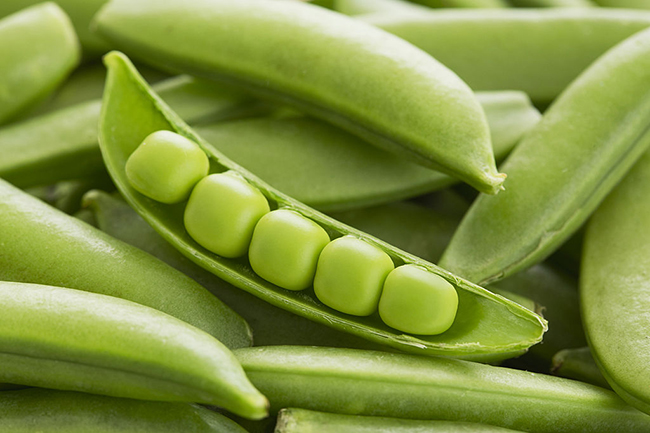 What Is Hindi Meaning Of Green Peas