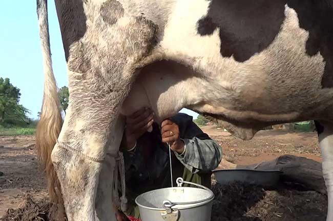 Health Tips | Healthy Life Ideas | Health Care News | Home Remedies For  Health | Expert Weight Loss