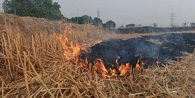 Fire field in hindi