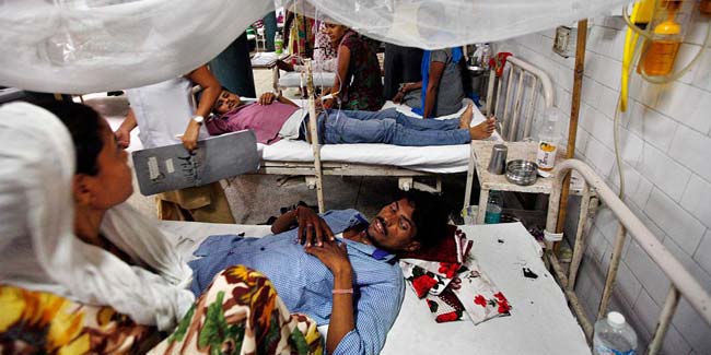 After Delhi-NCR outbreak, Chikungunya and dengue cases up in villages