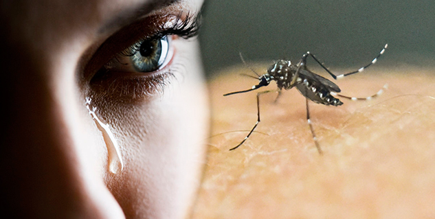 जीका वायरस 