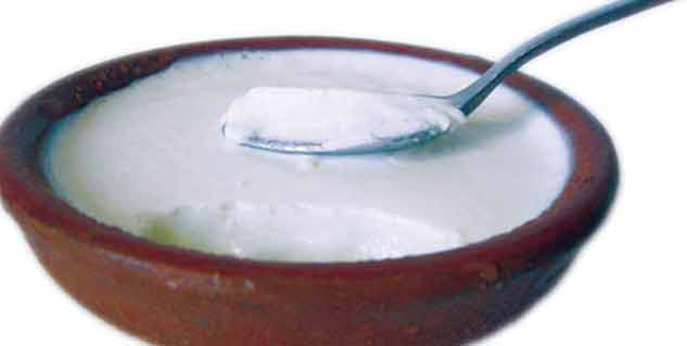 curd in hindi 
