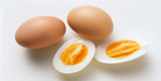 egg
