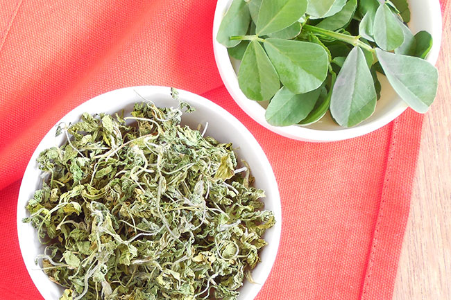 Amazing health benefits of Kasuri methi