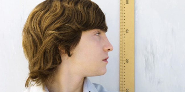 Average height of men has increased by four inches over the century