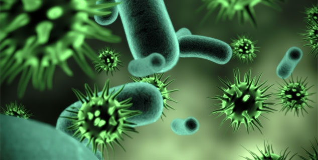 virus