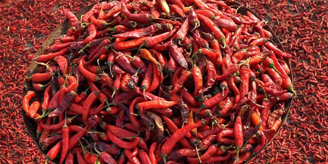 Eat red chilies for a longer and healthy life